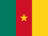 +237